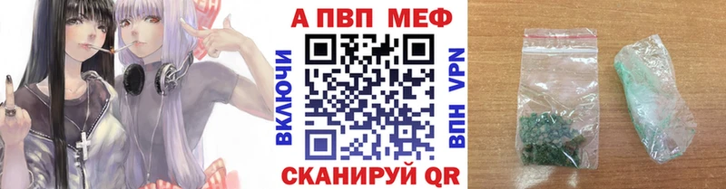 Альфа ПВП СК  Элиста 