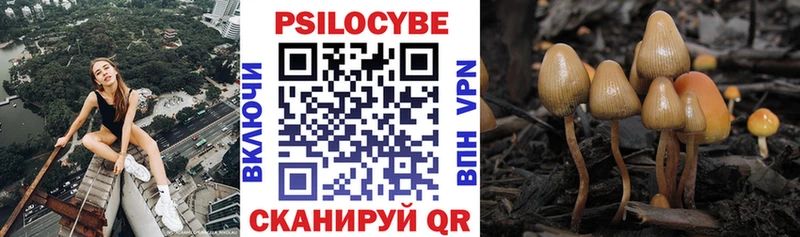 Галлюциногенные грибы Psilocybe  shop как зайти  Элиста  дарнет шоп  kraken как войти 